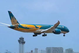 Why Has the Number of Vietnamese Tourists Visiting Japan Soared?