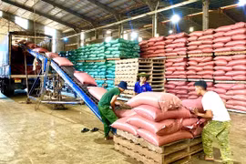 Legal Support – A “Driving Force” for Small and Medium Enterprises