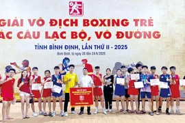 Nhon Ly Hoi: A Versatile Martial Arts Training Center