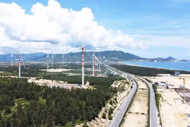 Developing Clean Energy Towards Net Zero