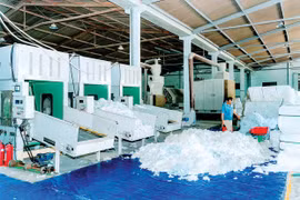 Young entrepreneurs drive innovation as Vietnam strengthens private sector