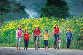Following the Seasons of Blossoms
