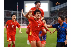 SEA Games 33 Championship and Bầu Đức's Response