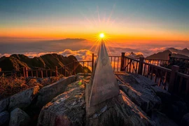 Vietnam Captivates International Tourists