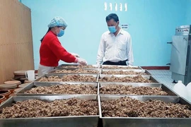 Preserving the Traditional Bàu Đá Liquor Brand