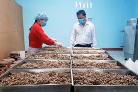 Preserving the Traditional Bàu Đá Liquor Brand