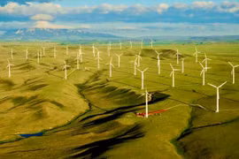 Developing Renewable Energy in Tandem with Green Growth