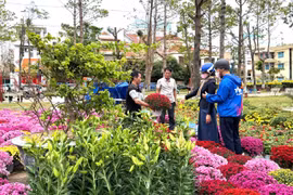 Bustling Atmosphere at Flower Markets Everywhere