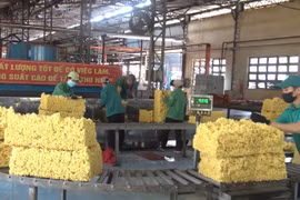 Rubber Industry Enterprises Proactively Adapt to EUDR