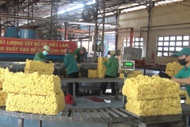 Rubber Industry Enterprises Proactively Adapt to EUDR