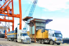 Tightening Market Management from Border Areas to Seaports