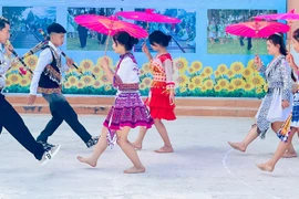 Celebrating Spring and Welcoming Tet in the Spirit of Unity