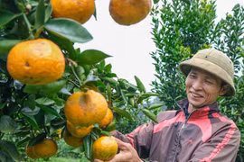 Son Lang Glows with Vibrant Orange and Yellow Hues