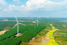 Removing “bottlenecks” to promote sustainable energy development