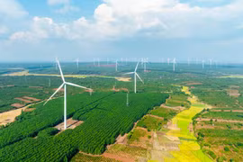 Removing “bottlenecks” to promote sustainable energy development