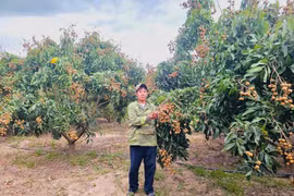 Urgent Shift in Crop Structure Underway