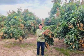 Urgent Shift in Crop Structure Underway