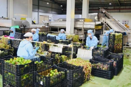 Developing Green Industrial Parks Towards an Ecological Model