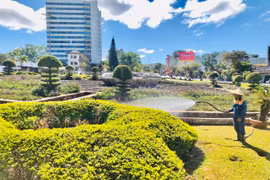 Beautifying the Environment to Welcome the New Spring