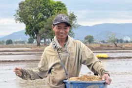 New Vibrancy Along the Lower Ayun River