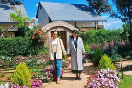 Gia Lai Ready to Welcome Spring Tourists