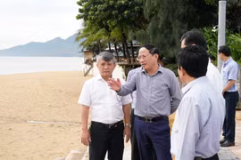 At a working session on November 1, Pham Anh Tuan, Deputy Secretary of the Provincial Party Committee and Chairman of the Provincial People's Committee, called on local wards and communes to elevate the Quy Nhon tourism brand on the world tourism map.