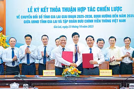 “Leapfrogging” Through Digital Transformation