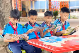 Fostering a Reading Culture in Schools: A Long and Challenging Journey