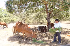 Building a Billion-Dollar Empire on White Sand