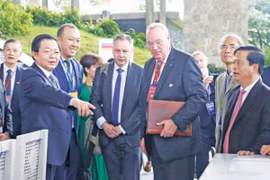 Gia Lai Accelerates Investment Promotion to Lay the Foundation for Breakthrough Growth