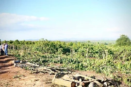 Quy Nhon - Pleiku Expressway Project: Dak Doa Residents Voluntarily Hand Over Land for Construction