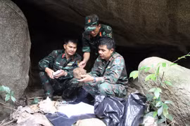 Tracing Memories to Find Martyrs' Remains in the Heart of the Great Forest