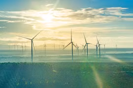 Building a Green Economy for Sustainable Development