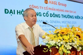 Hoang Anh Gia Lai, led by Chairman Duc, named among Asia-Pacific's top 500 companies