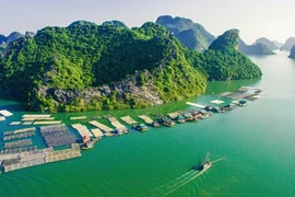 Exploring Vietnam’s Coastline from North to South Through a Bilingual Book