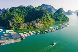 Exploring Vietnam’s Coastline from North to South Through a Bilingual Book