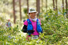“The Vung Chua Mountain Sparrow”