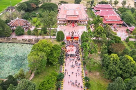 Diverse Festival Colors Resonate with the Spirit of Tay Son