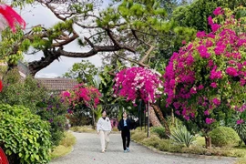 Experience the Unique Culture of the Highlands through Homestays