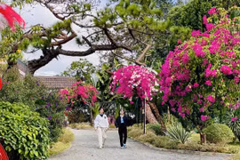 Experience the Unique Culture of the Highlands through Homestays