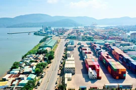 Applying AI to boost transparency in Vietnam’s agricultural production