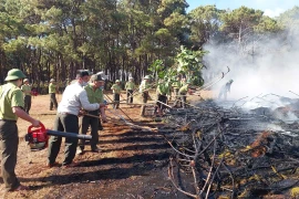 Proactively Prevent Forest Fires from the Start of the Dry Season