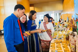 “Supporting Youth Entrepreneurship”