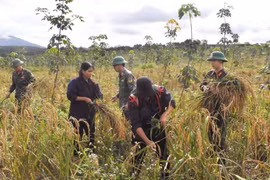 Army Corps 15 Supports Efforts to Improve Local Living Standards