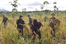 Army Corps 15 Supports Efforts to Improve Local Living Standards