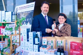 Success with Green Startups