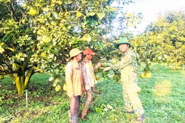 Vietnamese veterans turn hardship into prosperity and community support
