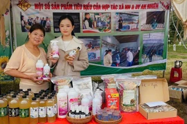 An Nhien Cooperative (Chu Krey commune) aims to enhance and expand its brand in the near future. Photo: DNCC
