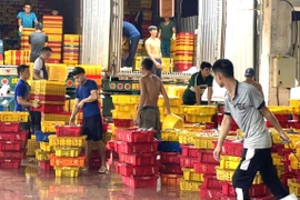 Occupational Transition and Sustainable Livelihoods for Fishermen