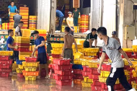 Occupational Transition and Sustainable Livelihoods for Fishermen